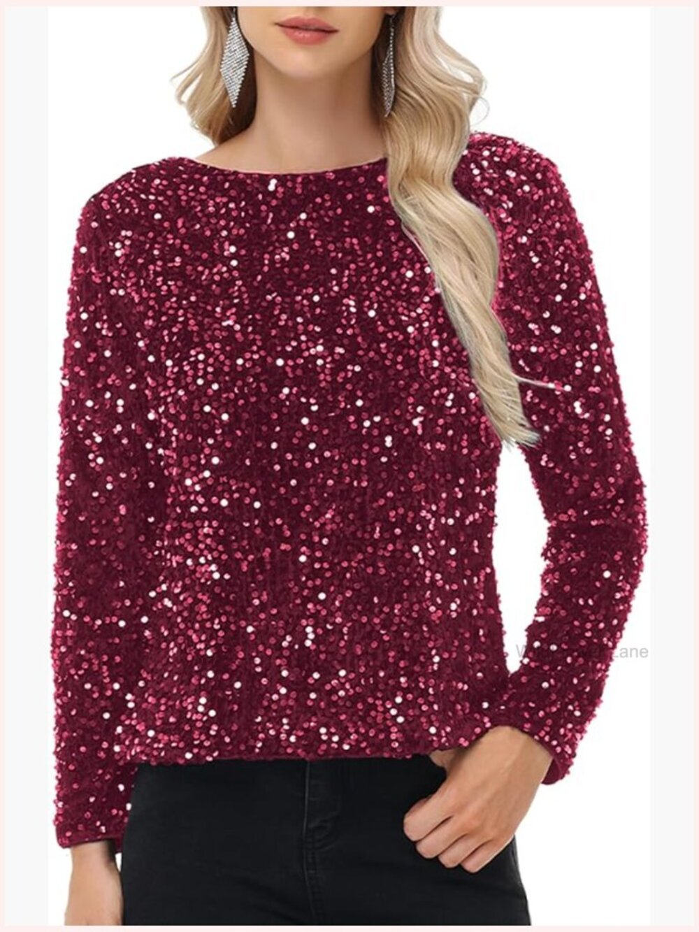 Sequin Long Sleeve Velvet Evening Blouse Party Concert Top
